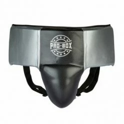 Champs Bxing Ltd PROBOX-'CHAMP SPAR' Black/Silver ABDO GUARD HEAD & GROIN GUARDS