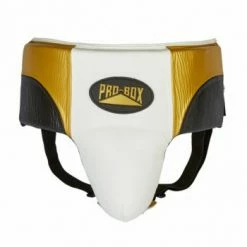 Champs Bxing Ltd PROBOX-PRO-SPAR Black/Gold/White ABDO GUARD HEAD & GROIN GUARDS