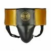 Champs Bxing Ltd PROBOX-'CHAMP SPAR' Black/Gold ABDO GUARD HEAD & GROIN GUARDS