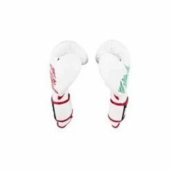Champs Bxing Cleto Reyes Sparring Gloves – Mexican Colours