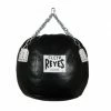 Champs Bxing CLETO REYES-Leather Wrecking Ball PUNCH BAGS