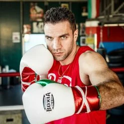 SENIOR GLOVES Boxia-GTX – Sparring Gloves With Laces – Tricolore Limited