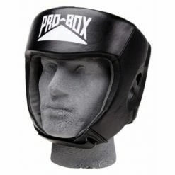 HEAD & GROIN GUARDS PROBOX-LEATHER CLUB ESSENTIALS BLACK