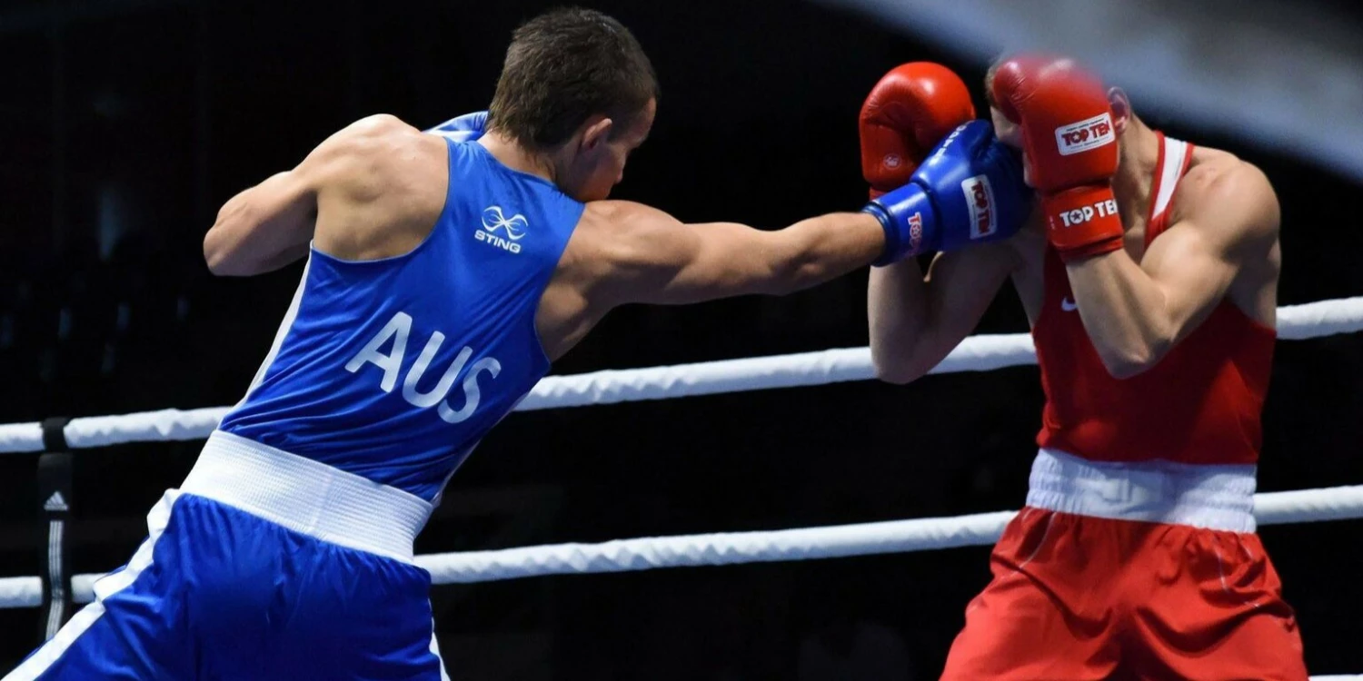 Cheap Champs Bxing ltd Store 1 Cheap Champs Bxing ltd Store -Cheap Champs Bxing ltd Store 1